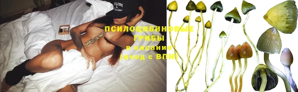 ECSTASY Пересвет