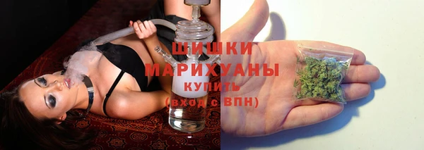 каннабис Покачи