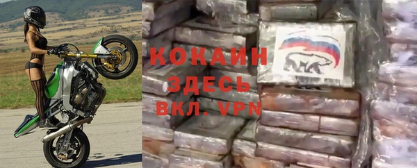 каннабис Покачи